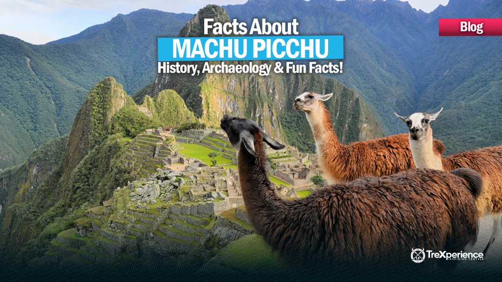 Facts About Machu Picchu History Archaeology Fun Trexperience